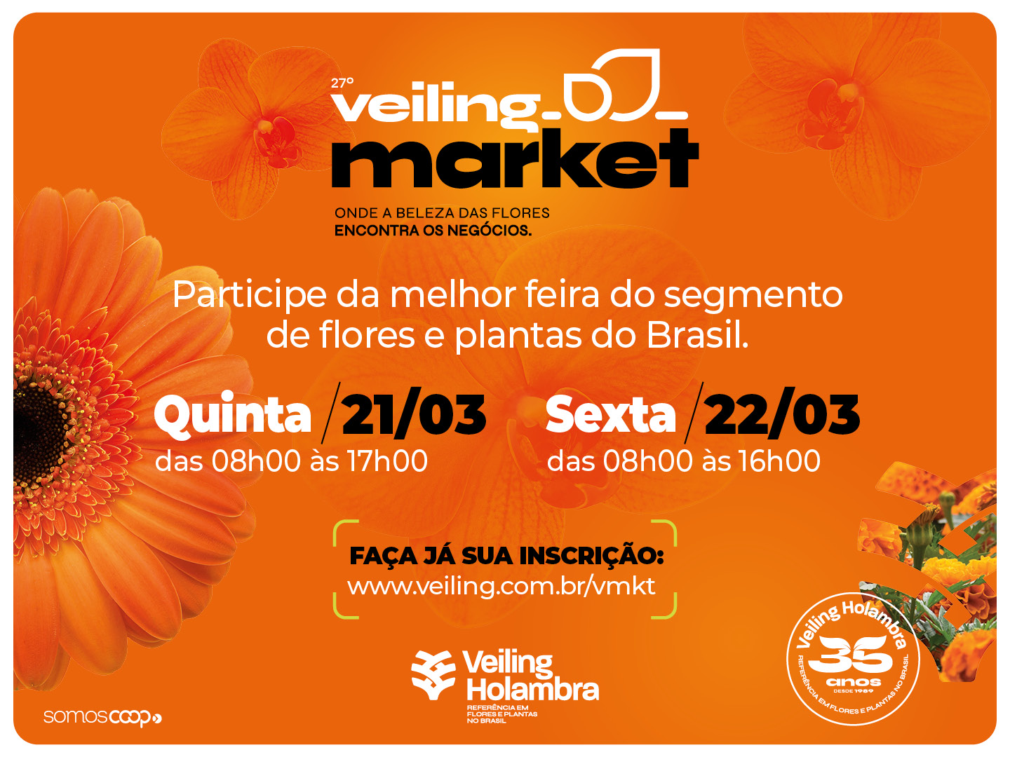 27º Veiling Market